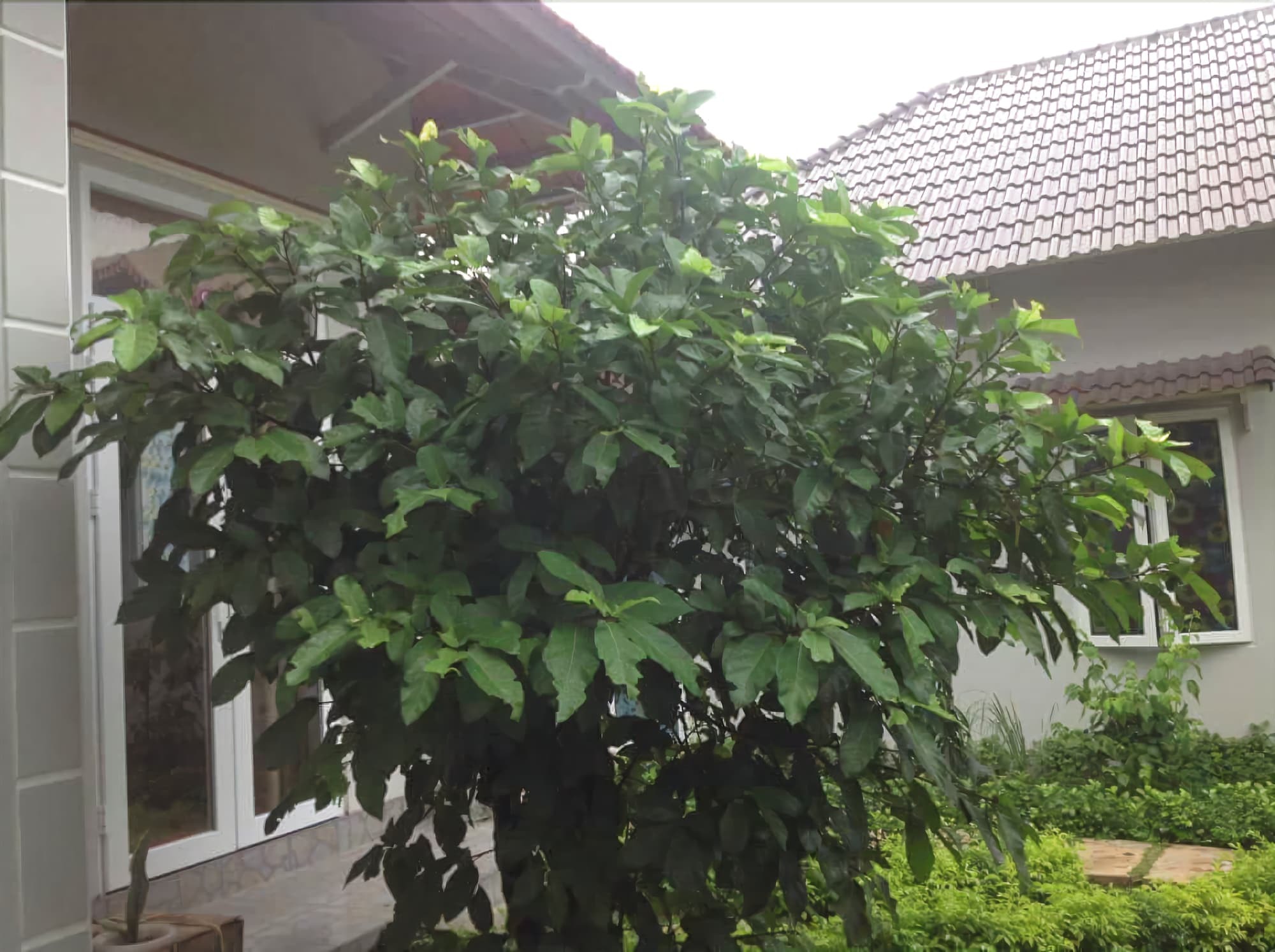 Manh Duyen Garden Homestay Phu Quoc Exterior photo
